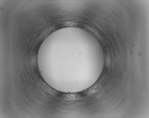 X0000072960473200608111655