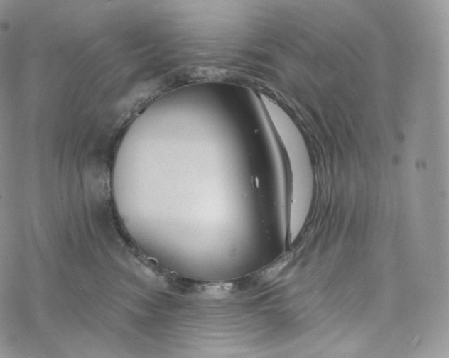 X0000072960474200608111655