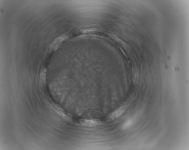 X0000072960475200608111655