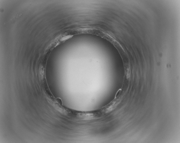 X0000072960476200608111655