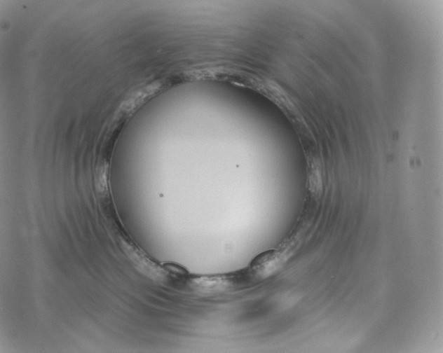 X0000072960477200608111655