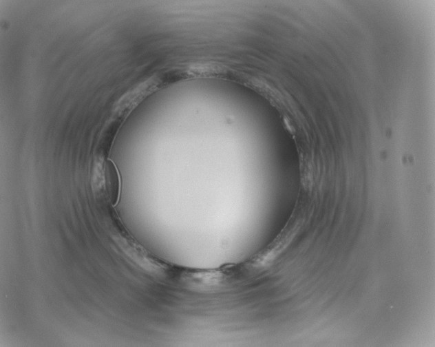 X0000072960478200608111655