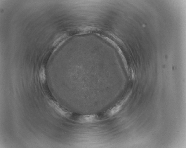 X0000072960479200608111655