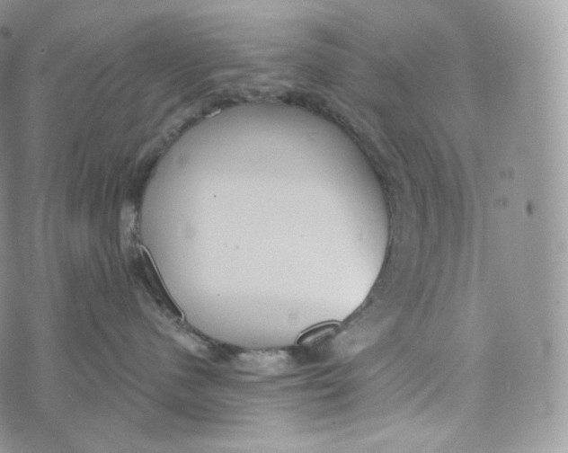 X0000072960480200608111655