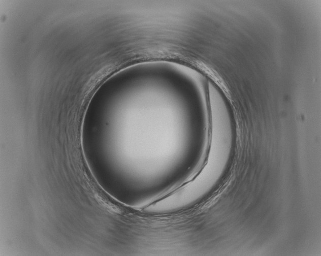 X0000072960481200608111655