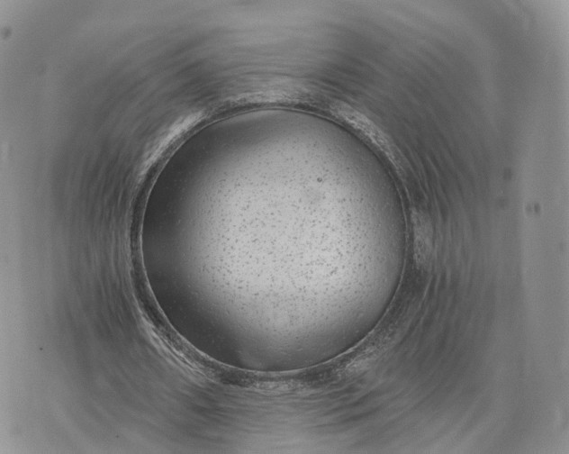 X0000072960482200608111655