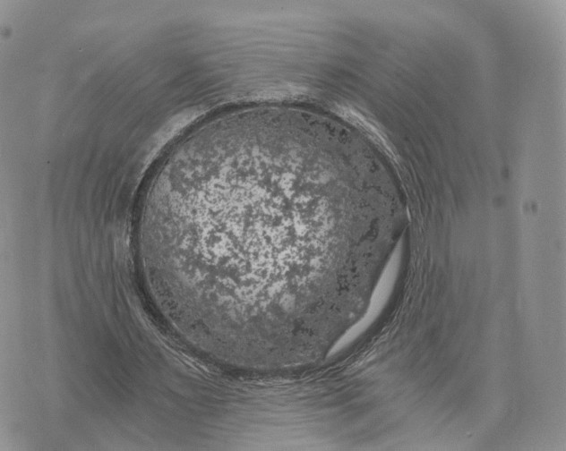 X0000072960483200608111655