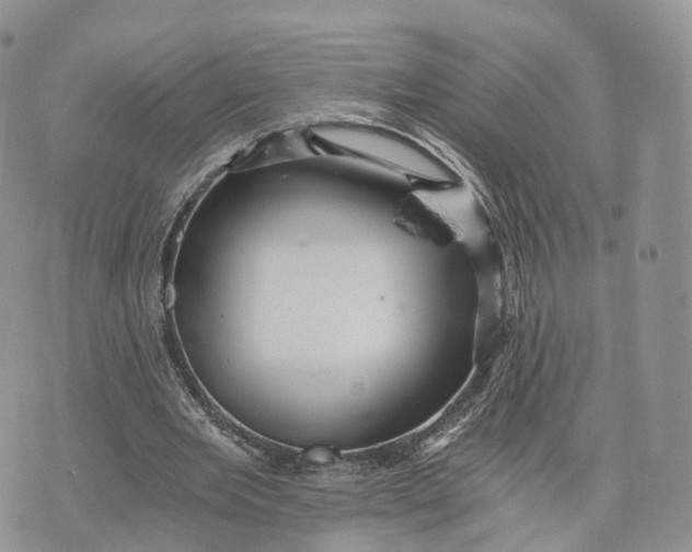 X0000072960485200608111655