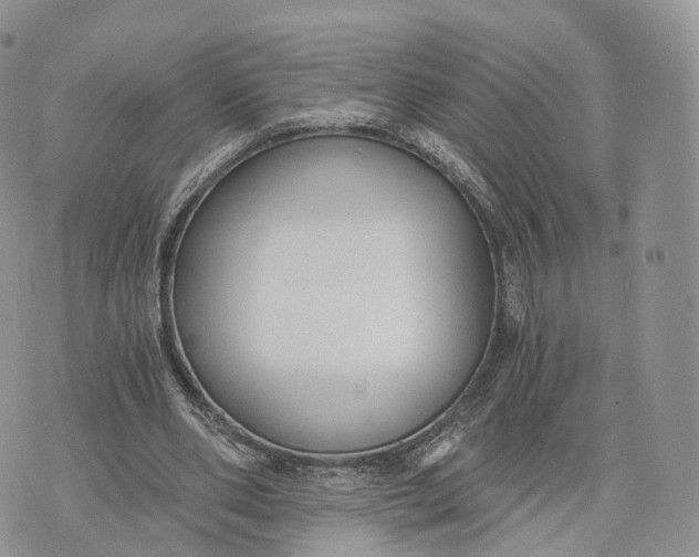 X0000072960486200608111654