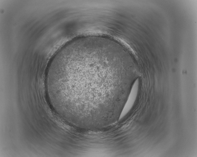 X0000072960487200608111654