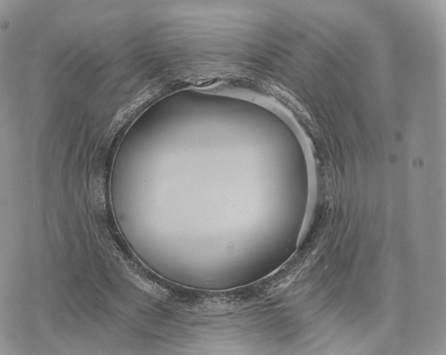 X0000072960489200608111654