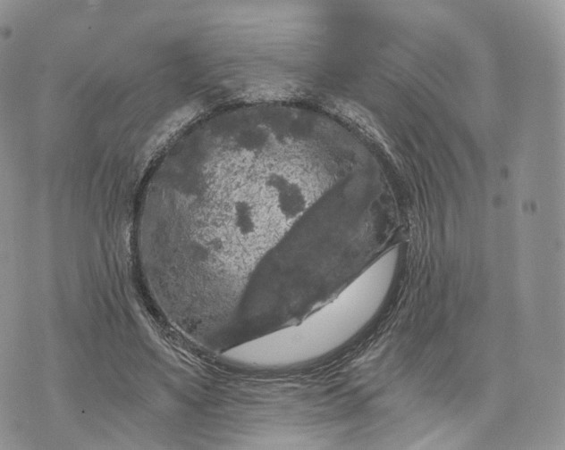 X0000072960491200608111654