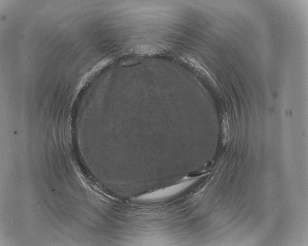 X0000072960492200608111654