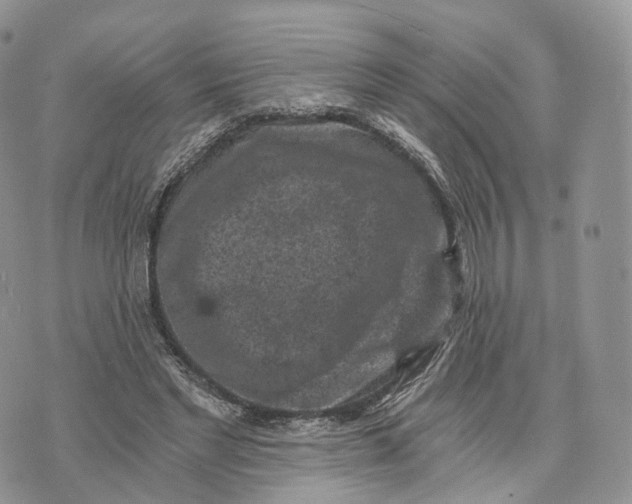 X0000072960493200608111654