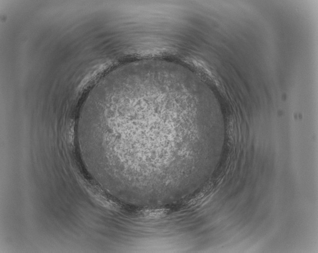 X0000072960495200608111654