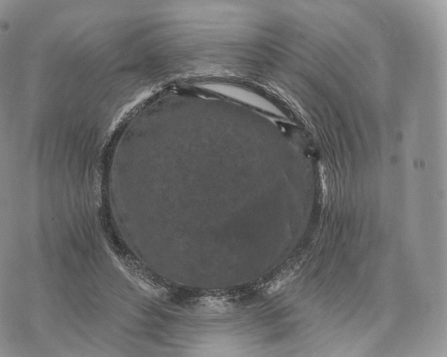 X0000072960496200608111654