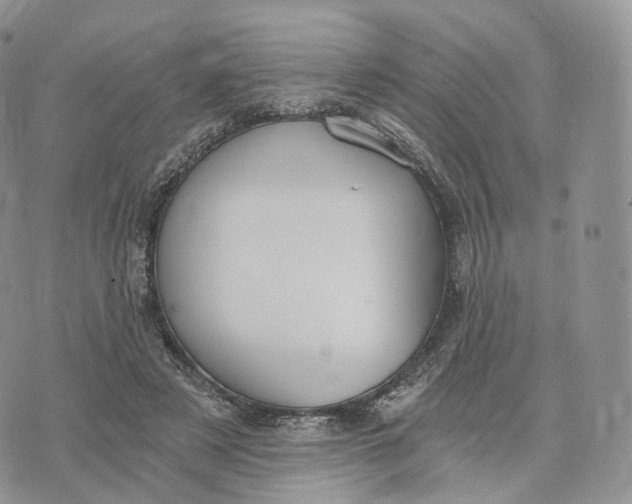 X0000072960497200608111654