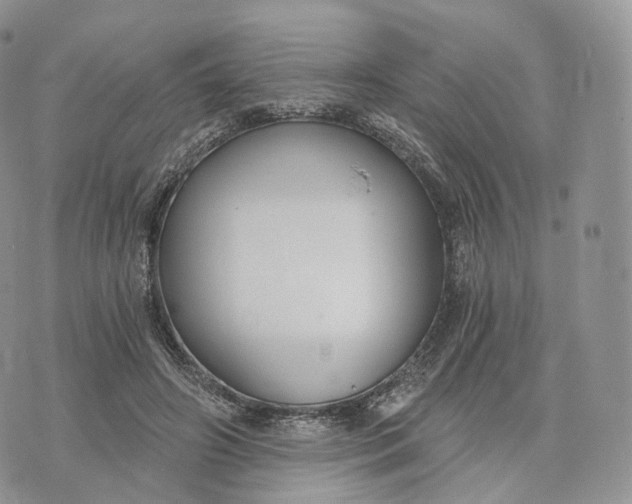 X0000072960498200608111654