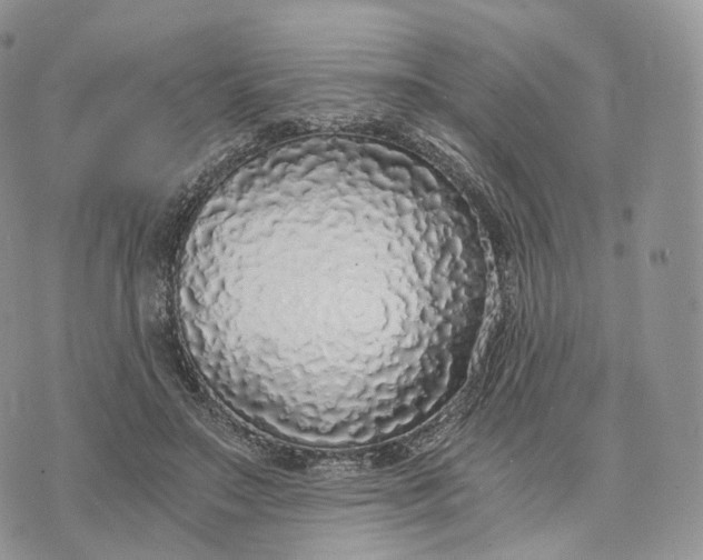 X0000072960499200608111654