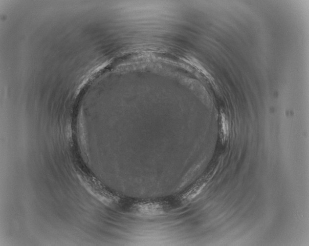 X0000072960500200608111654