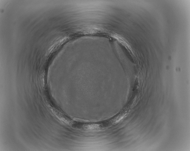 X0000072960501200608111654