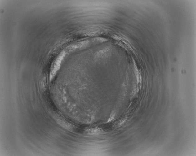 X0000072960503200608111654