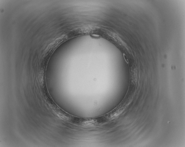 X0000072960505200608111654