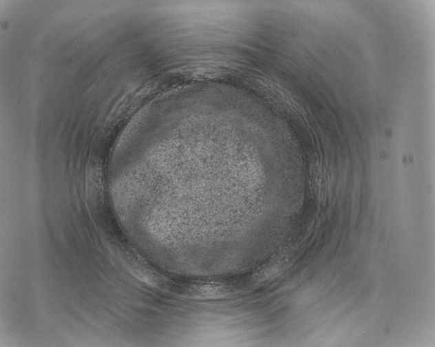 X0000072960506200608111654