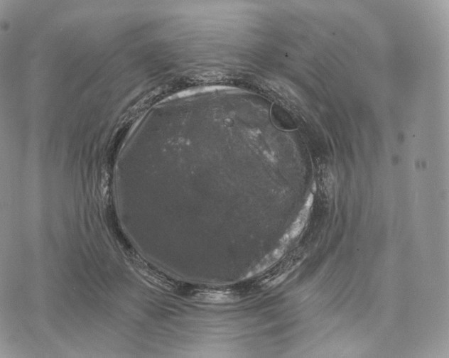 X0000072960507200608111654