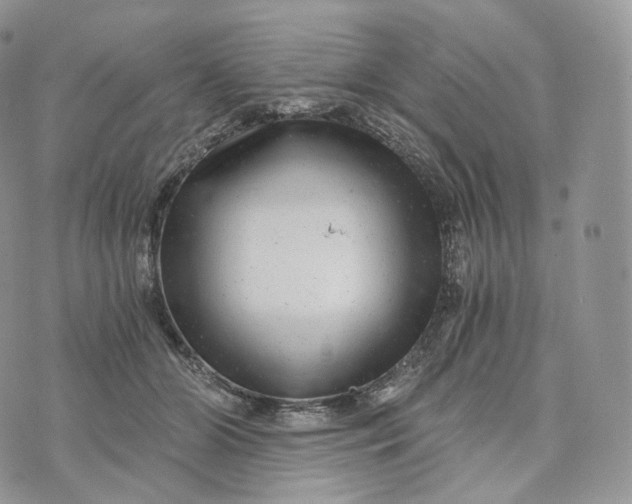 X0000072960510200608111654