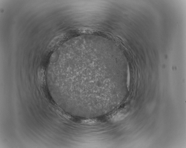 X0000072960511200608111654