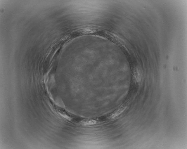 X0000072960512200608111654