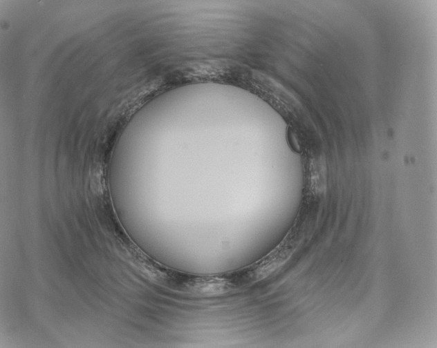 X0000072960514200608111654