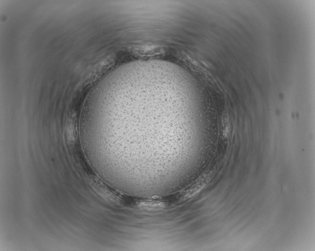 X0000072960515200608111654