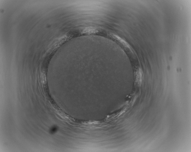 X0000072960517200608111654