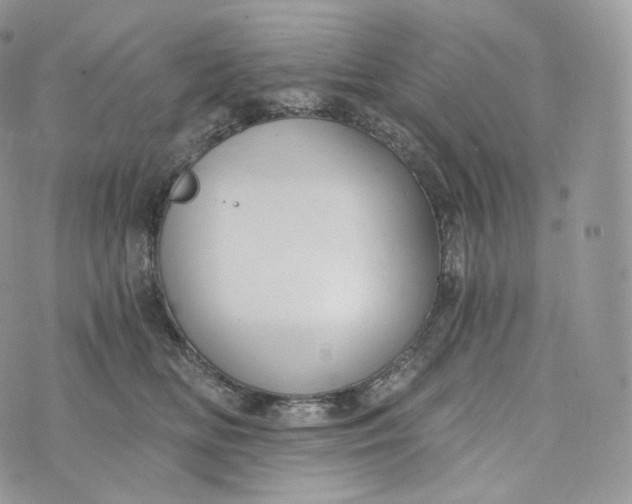 X0000072960518200608111654