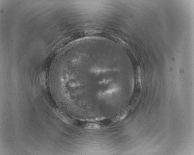 X0000072960519200608111654