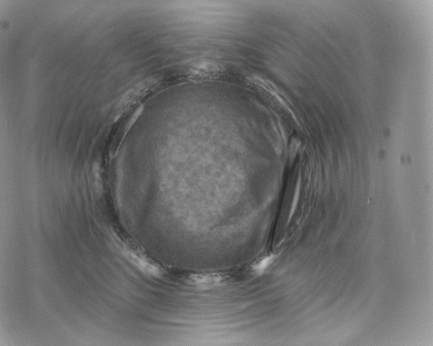 X0000072960520200608111654