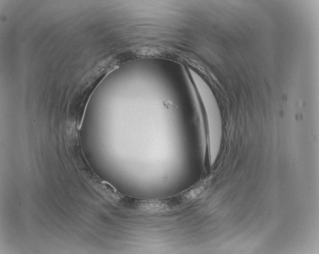 X0000072960521200608111654