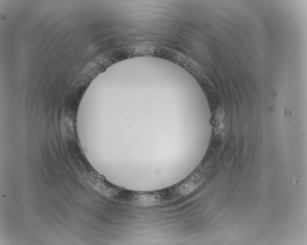 X0000072960522200608111654