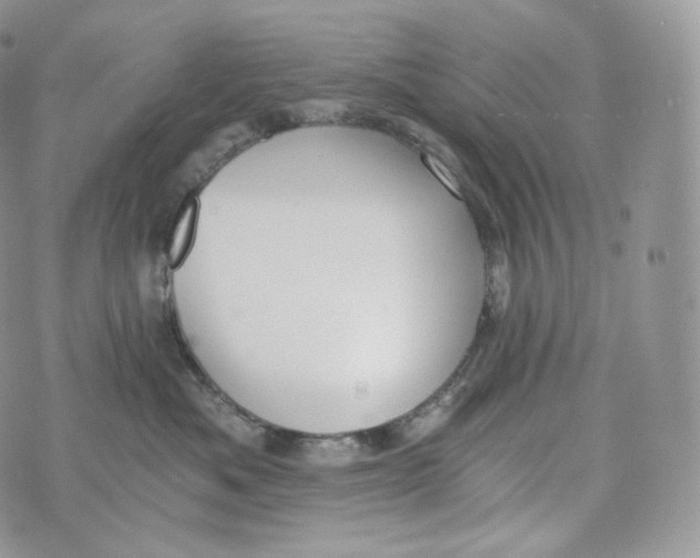 X0000072960525200608111654