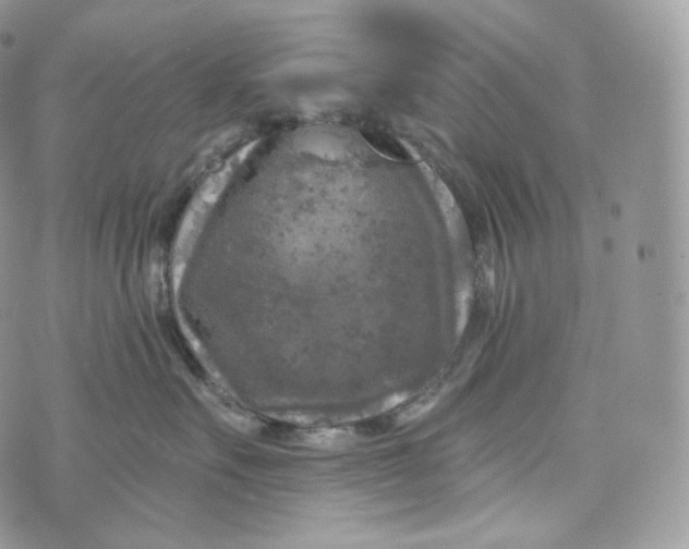 X0000072960527200608111654