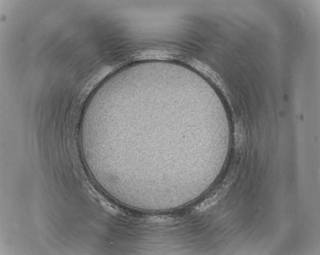 X0000072960529200608111653