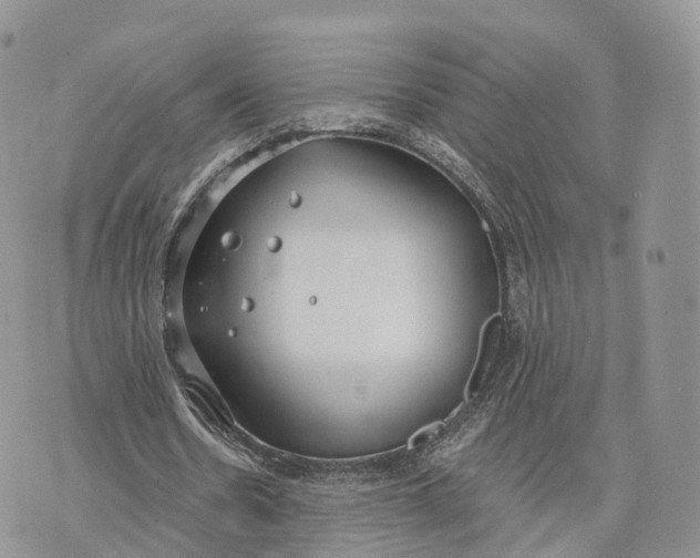 X0000072960530200608111653