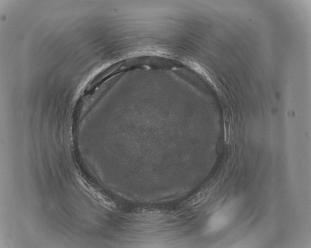 X0000072960531200608111653