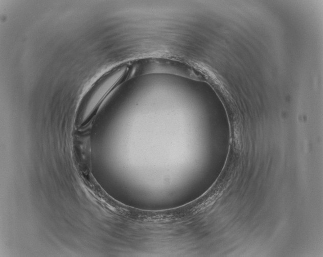 X0000072960532200608111653