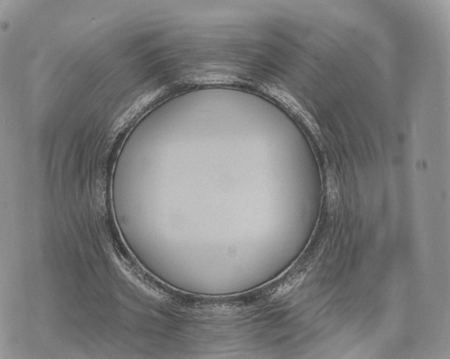 X0000072960533200608111653