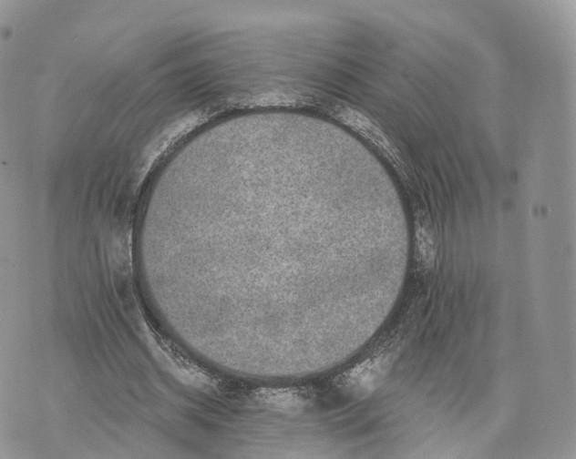 X0000072960534200608111653