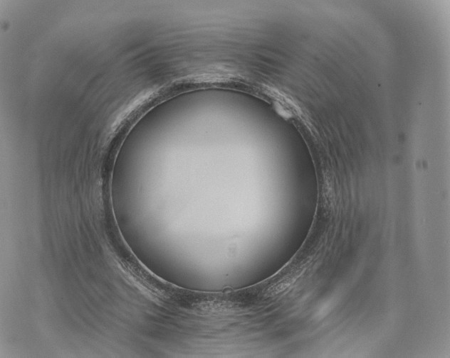 X0000072960535200608111653