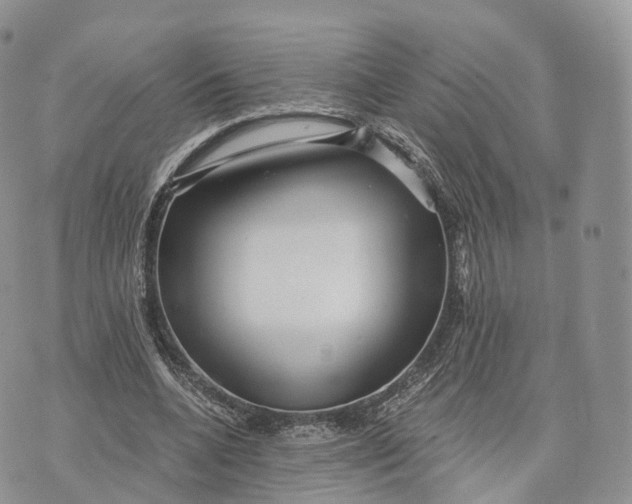 X0000072960536200608111653